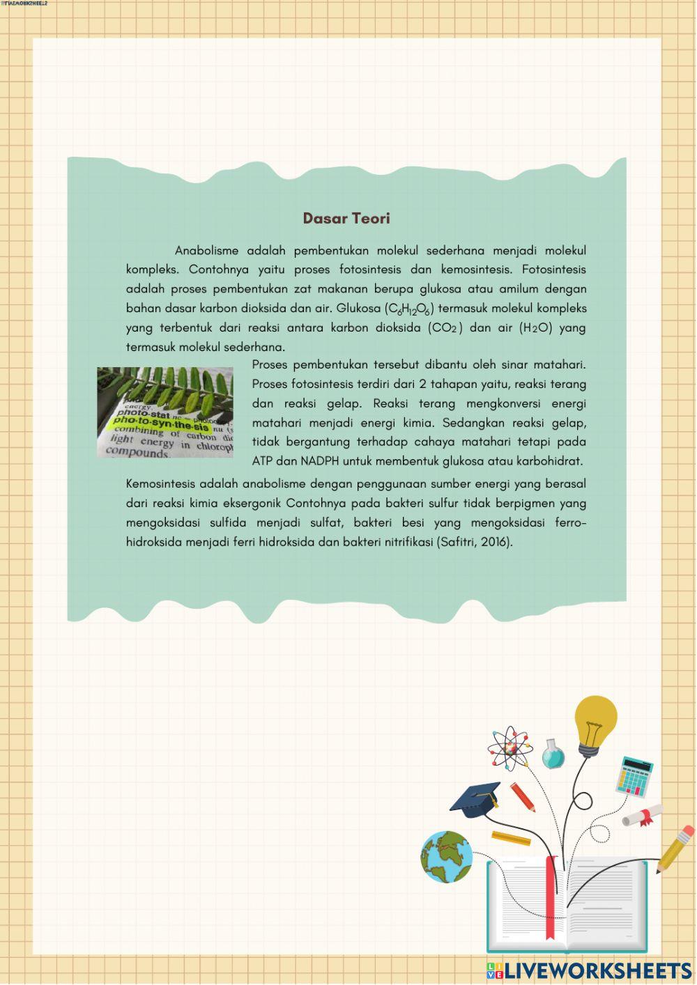 Anabolisme (Fotosintesis - Kemosintesi)