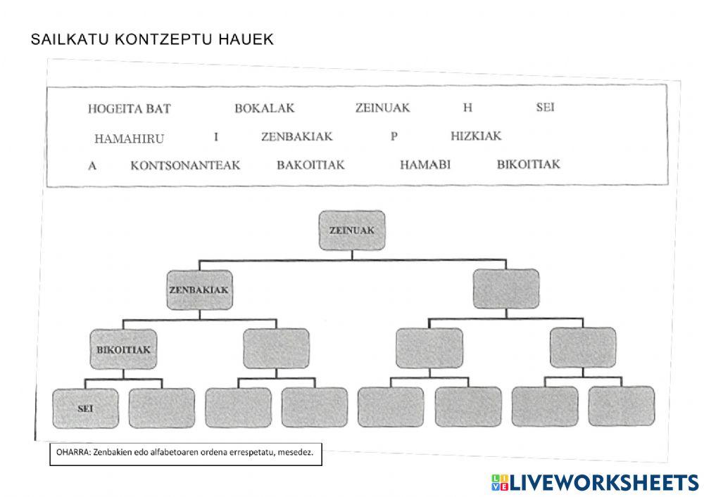 Sailkatu kontzeptu hauek
