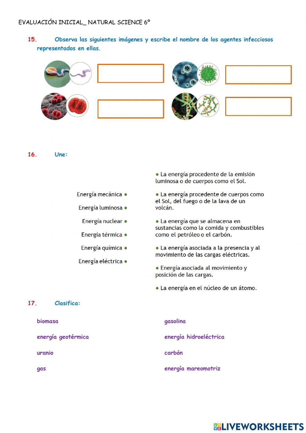 Evaluación inicial 6º science