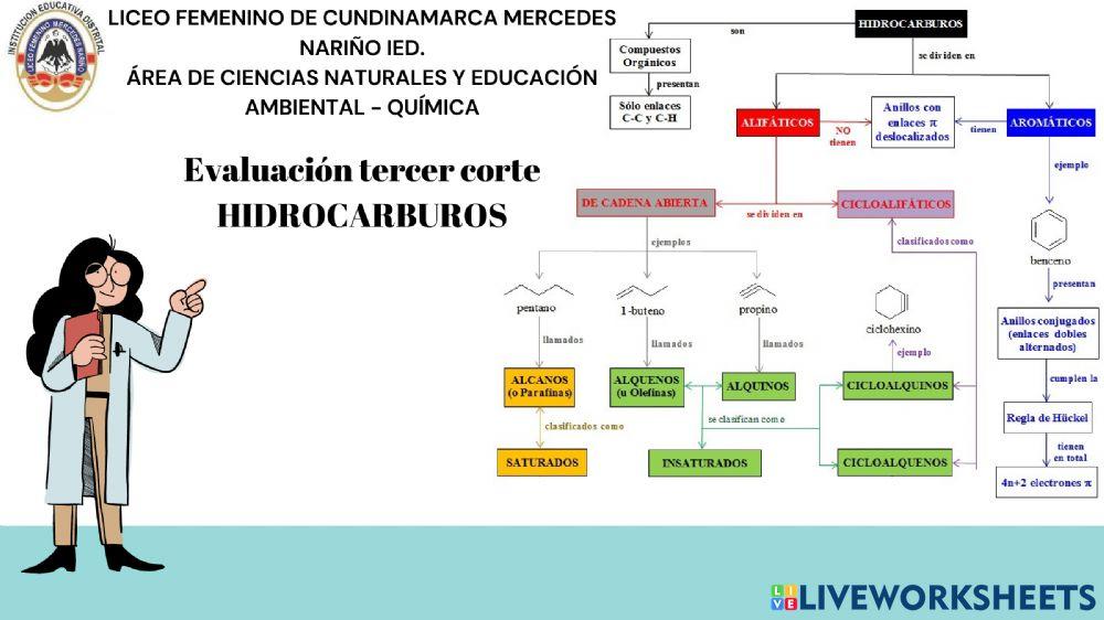 Evaluación: Hidrocarburos