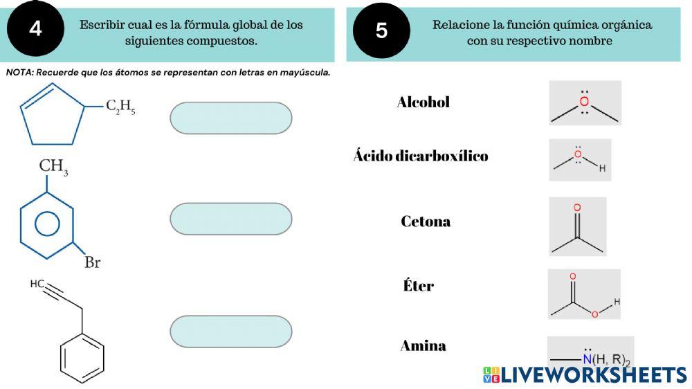 Evaluación: Hidrocarburos