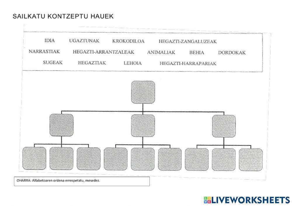 Sailkatu kontzeptu hauek