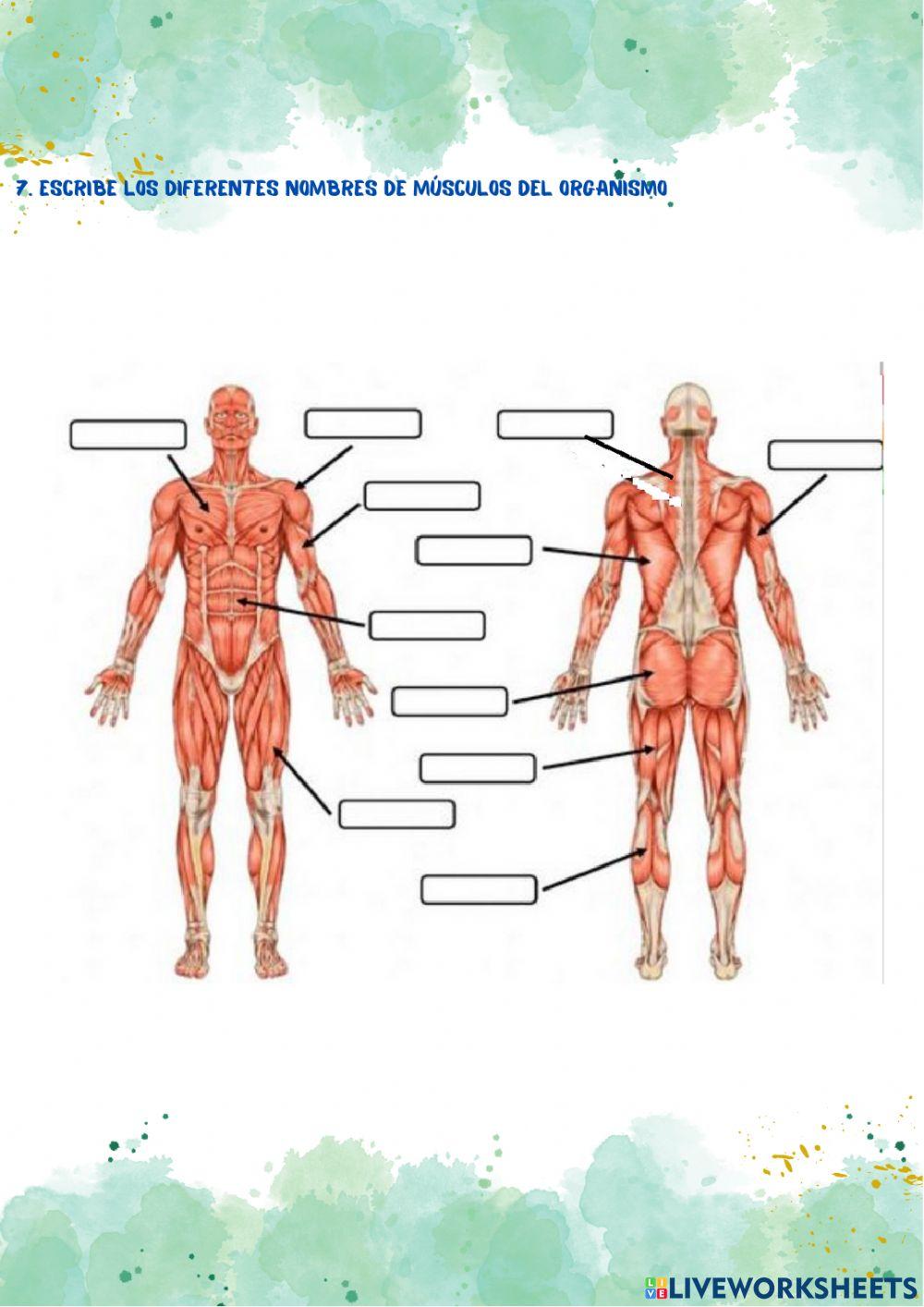 Prueba inicial science