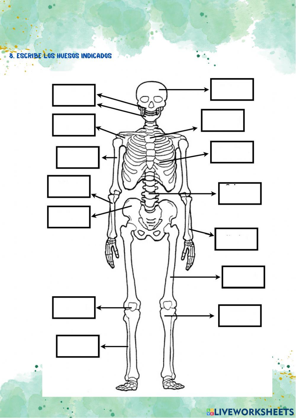 Prueba inicial science