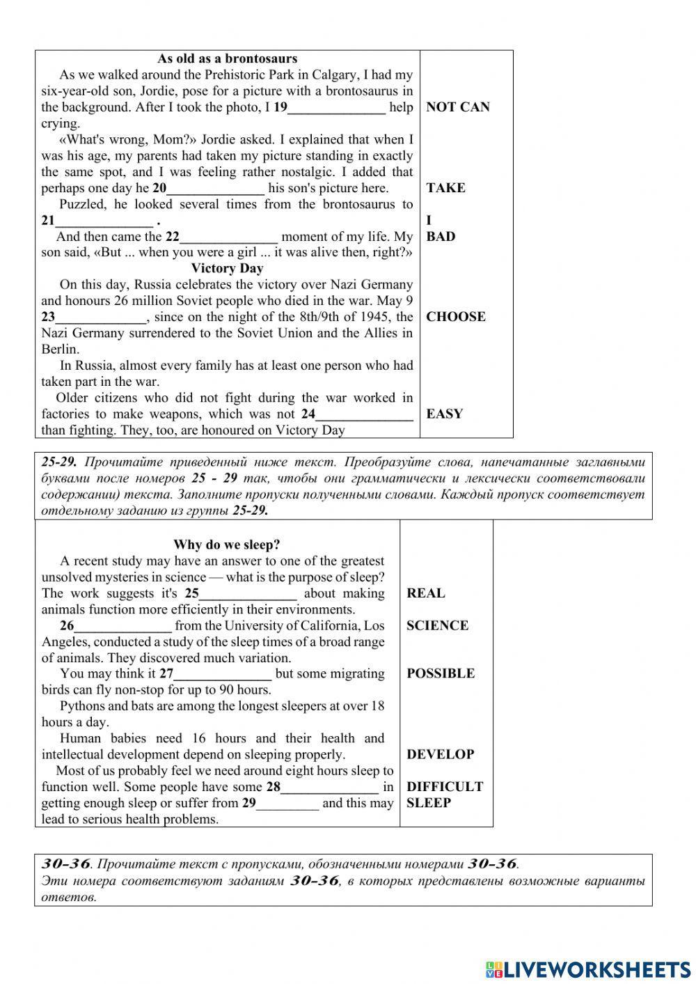 RNE practice Reading and Grammar 1135