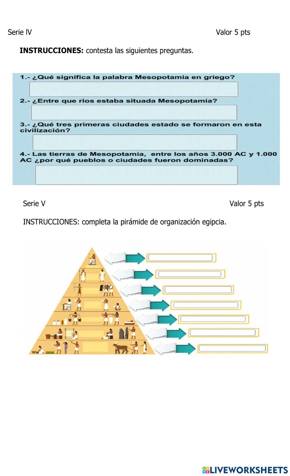 Examen de medio social