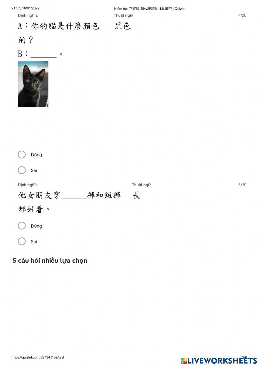 Shidai 1- Kiểm tra bài 8