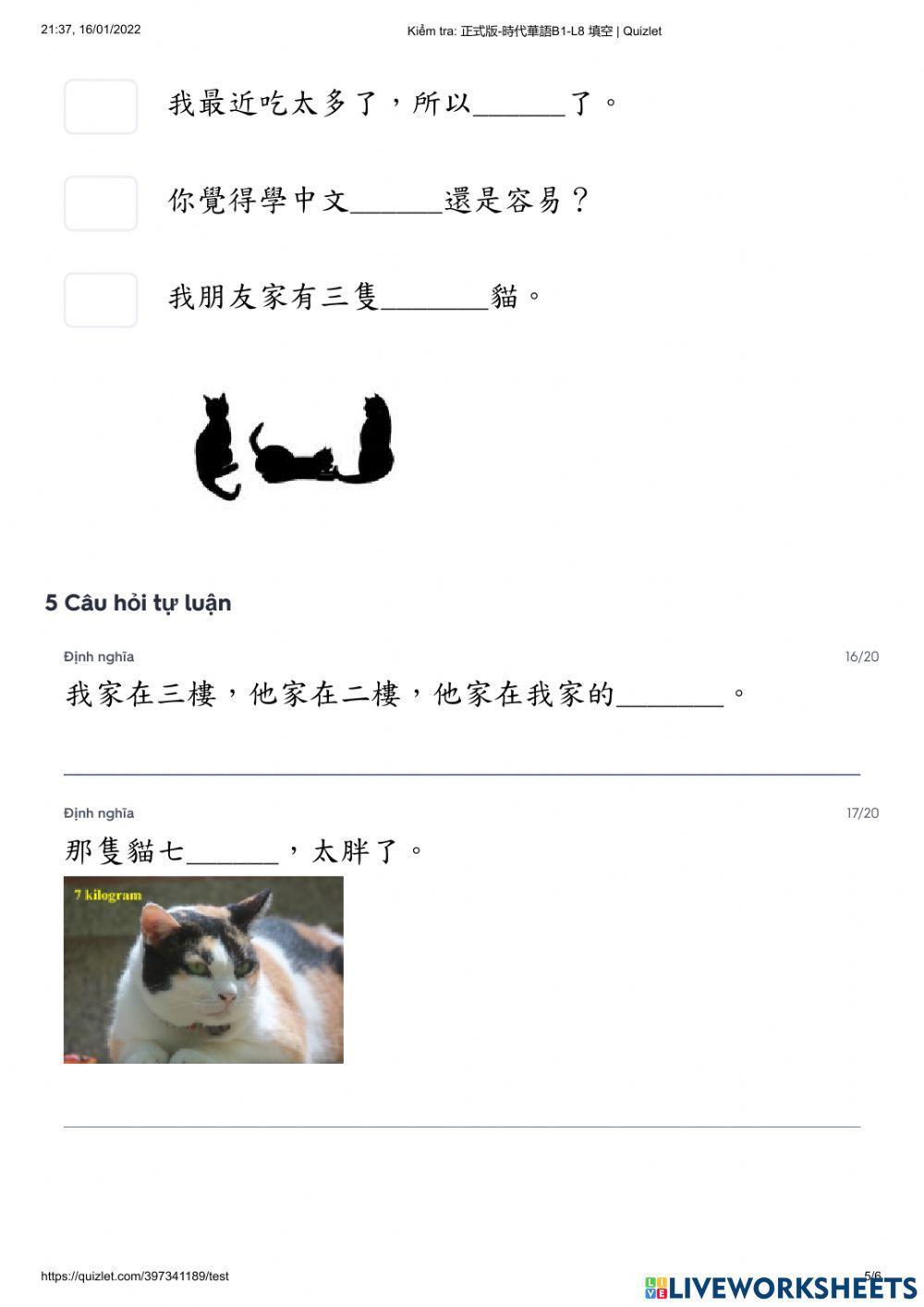 Shidai 1- Kiểm tra bài 8