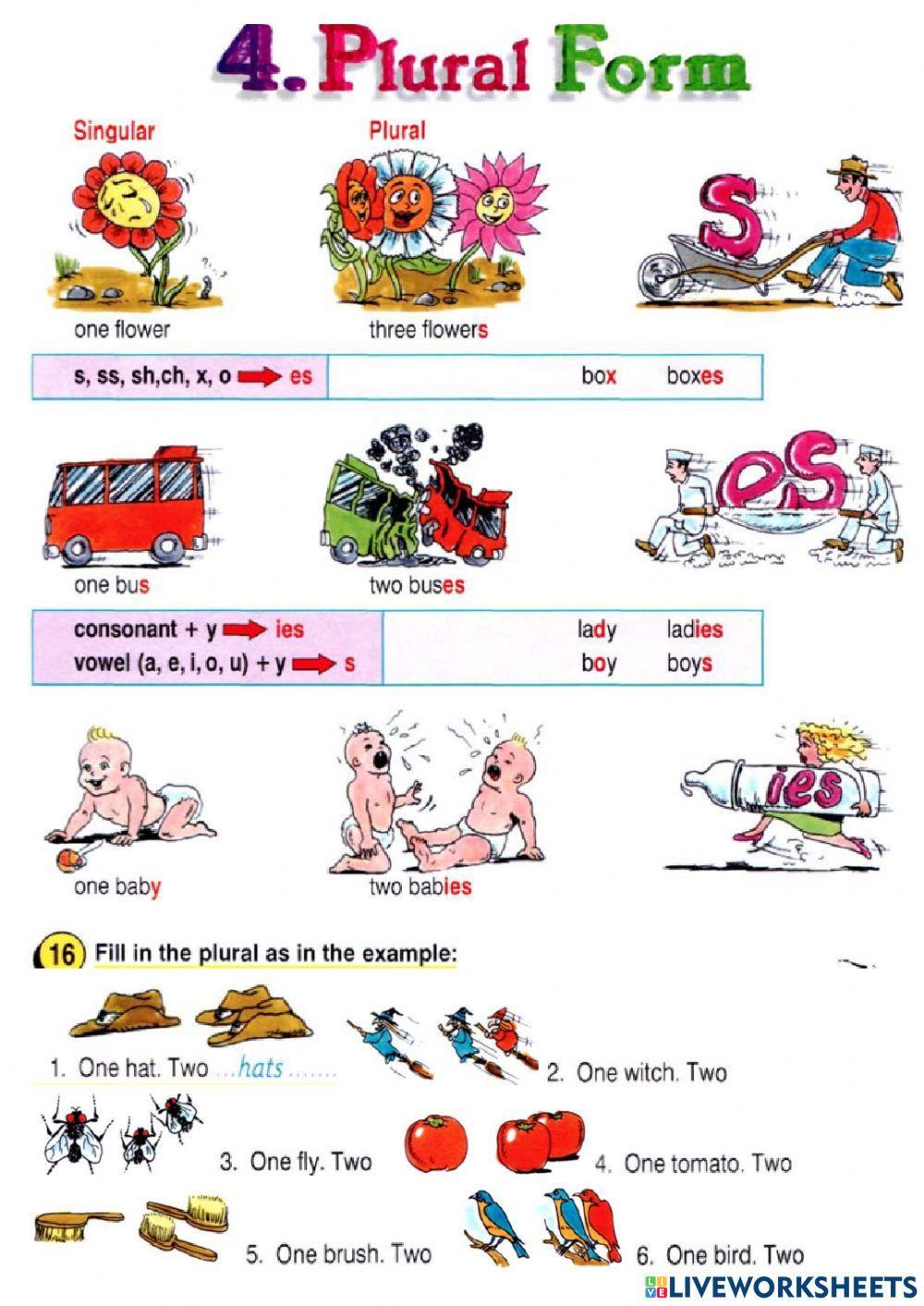 Plural form worksheet for elementary | Live Worksheets