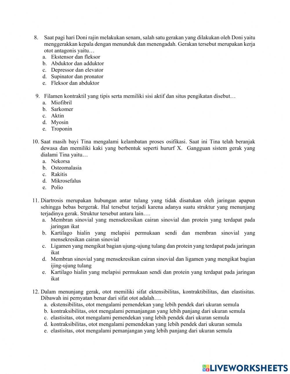 Ulangan Harian Sistem Gerak