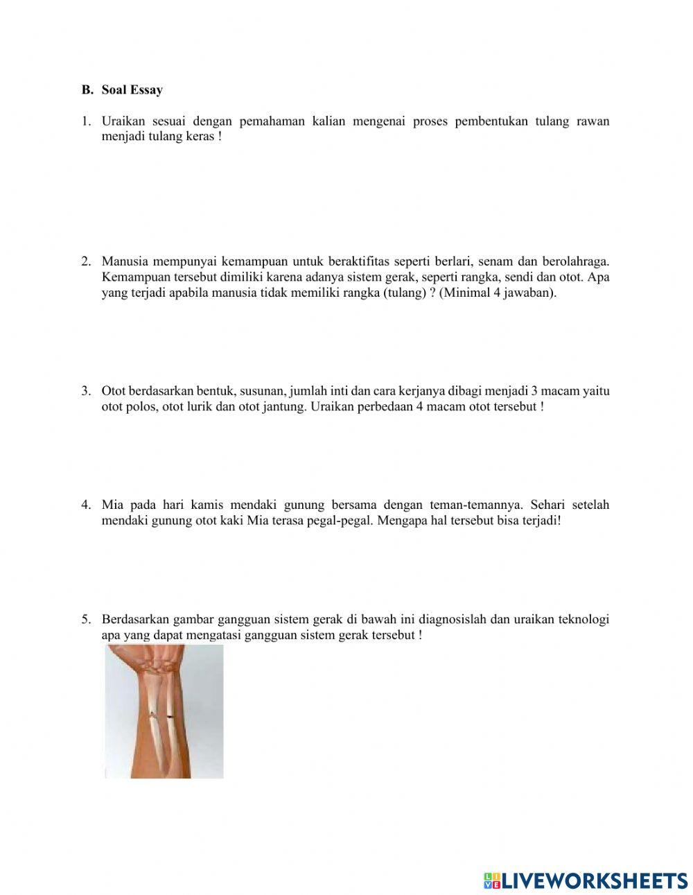 Ulangan Harian Sistem Gerak