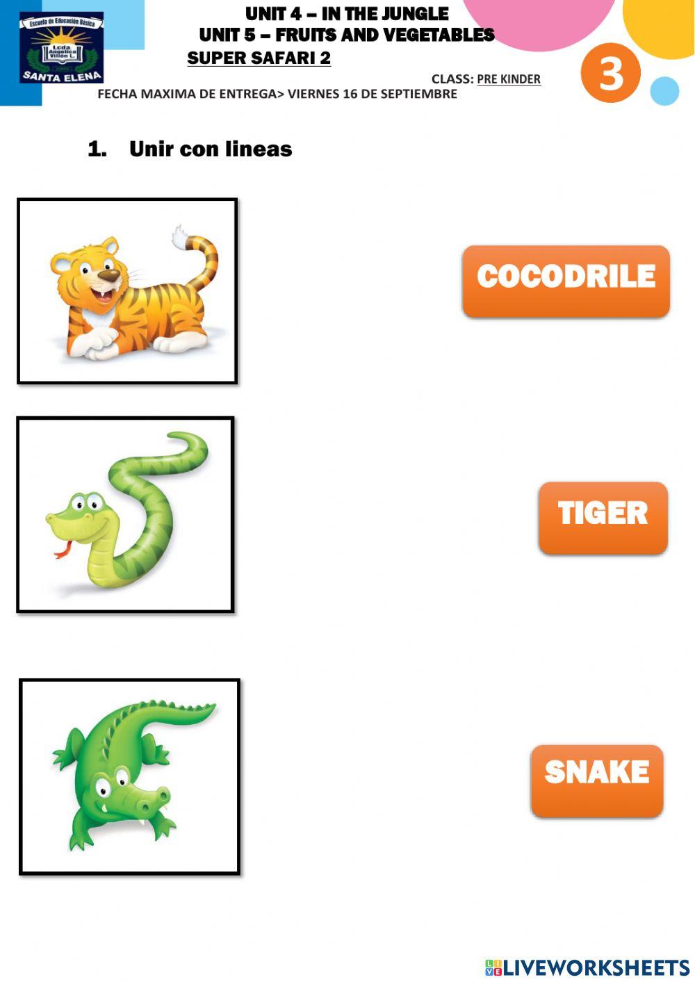 Unit 4 and unit 5 SS2