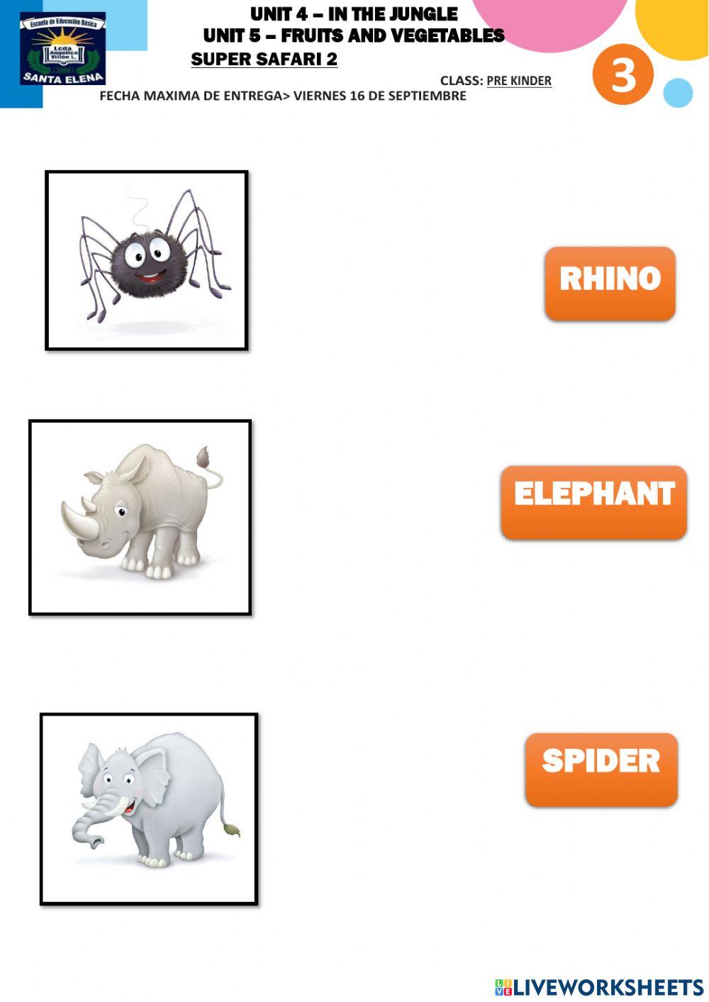 Unit 4 and unit 5 SS2