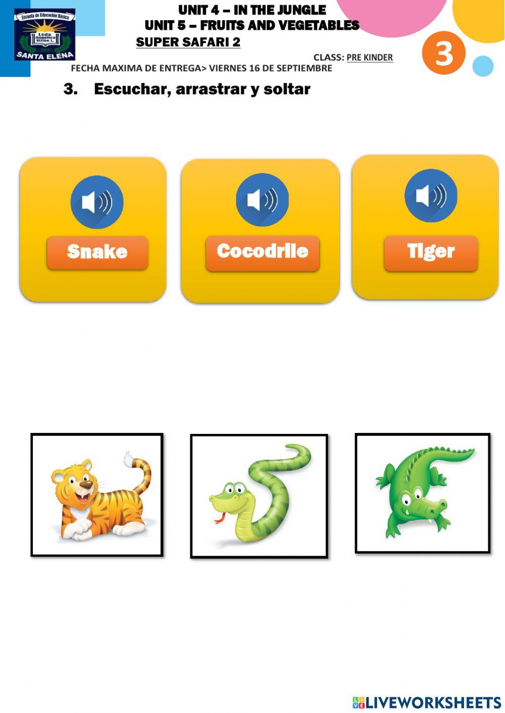 Unit 4 and unit 5 SS2