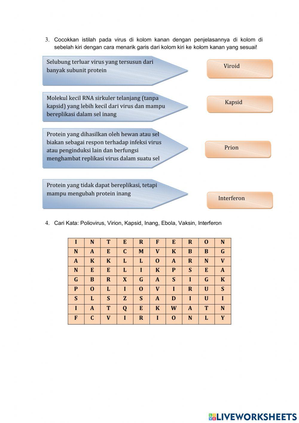 LEMBAR KERJA CIRI-CIRI-CIRI VIRUS DAN STUKTUR