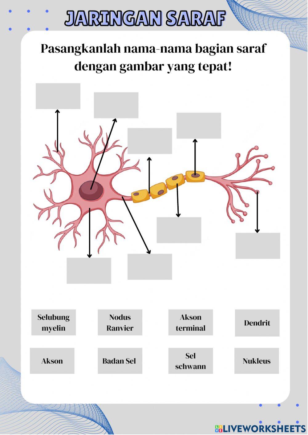 E-LKPD Jaringan Saraf