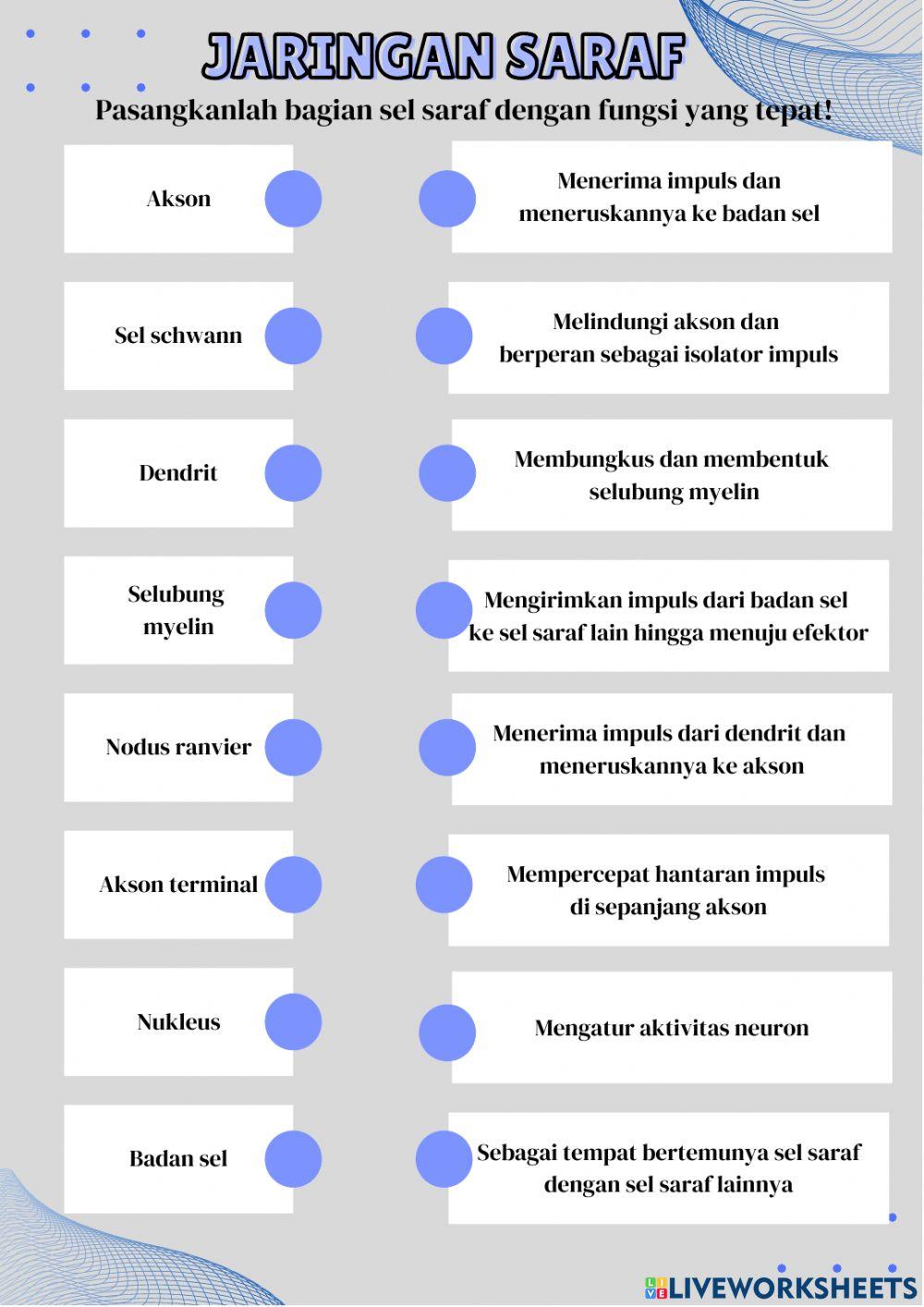 E-LKPD Jaringan Saraf