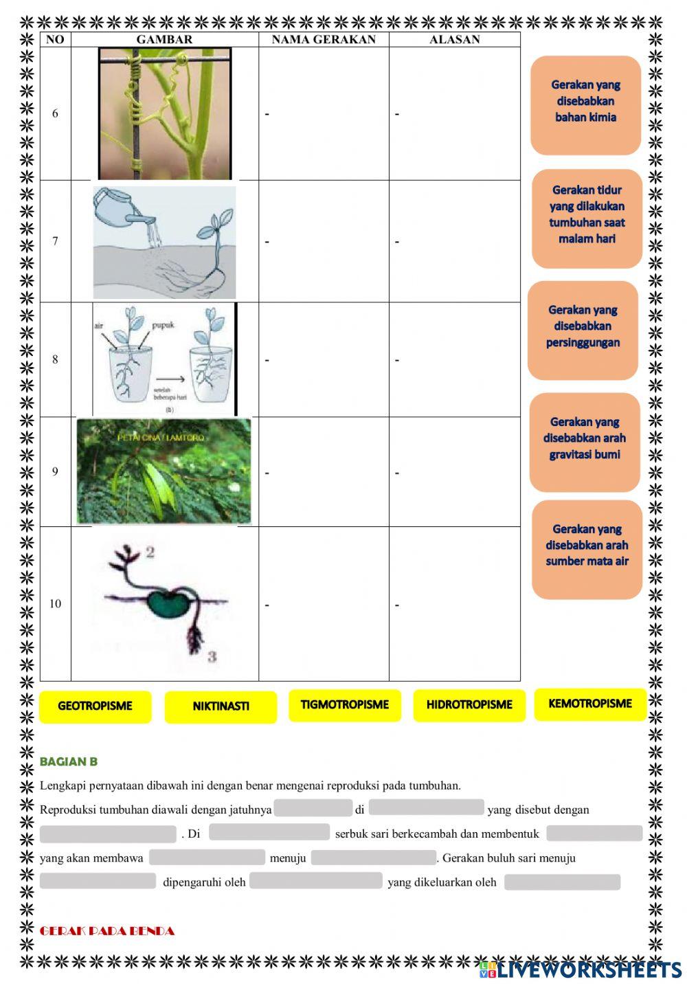 Ulangan gerak benda dan makhluk hidup