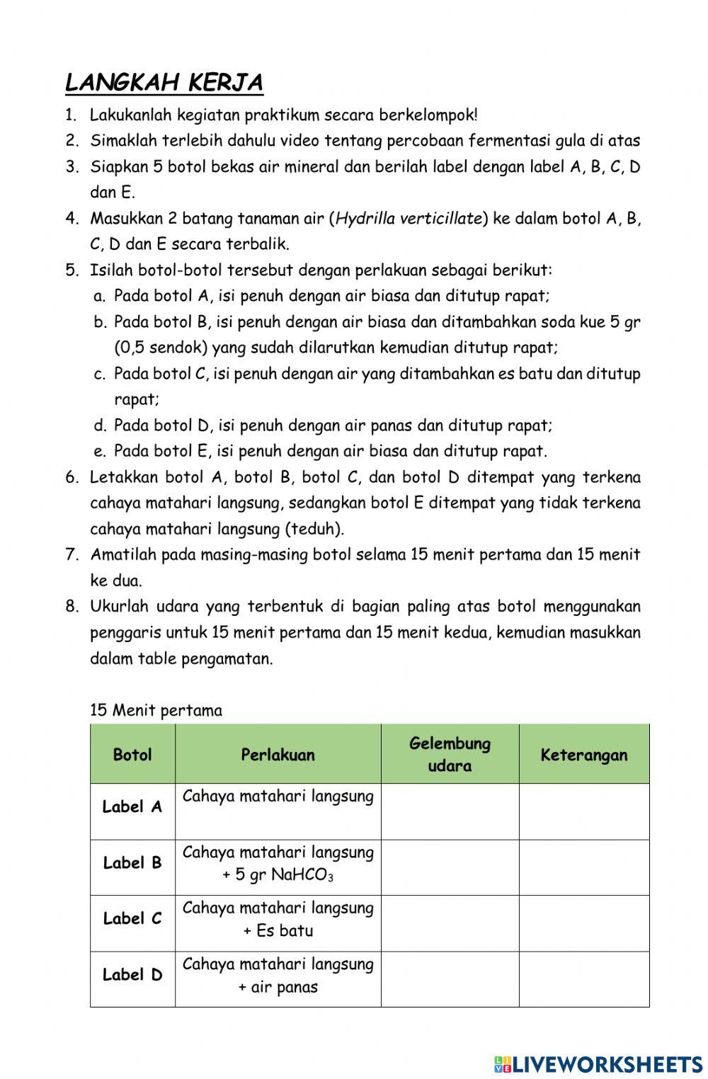 Fotosintesis - Ingenhouzs
