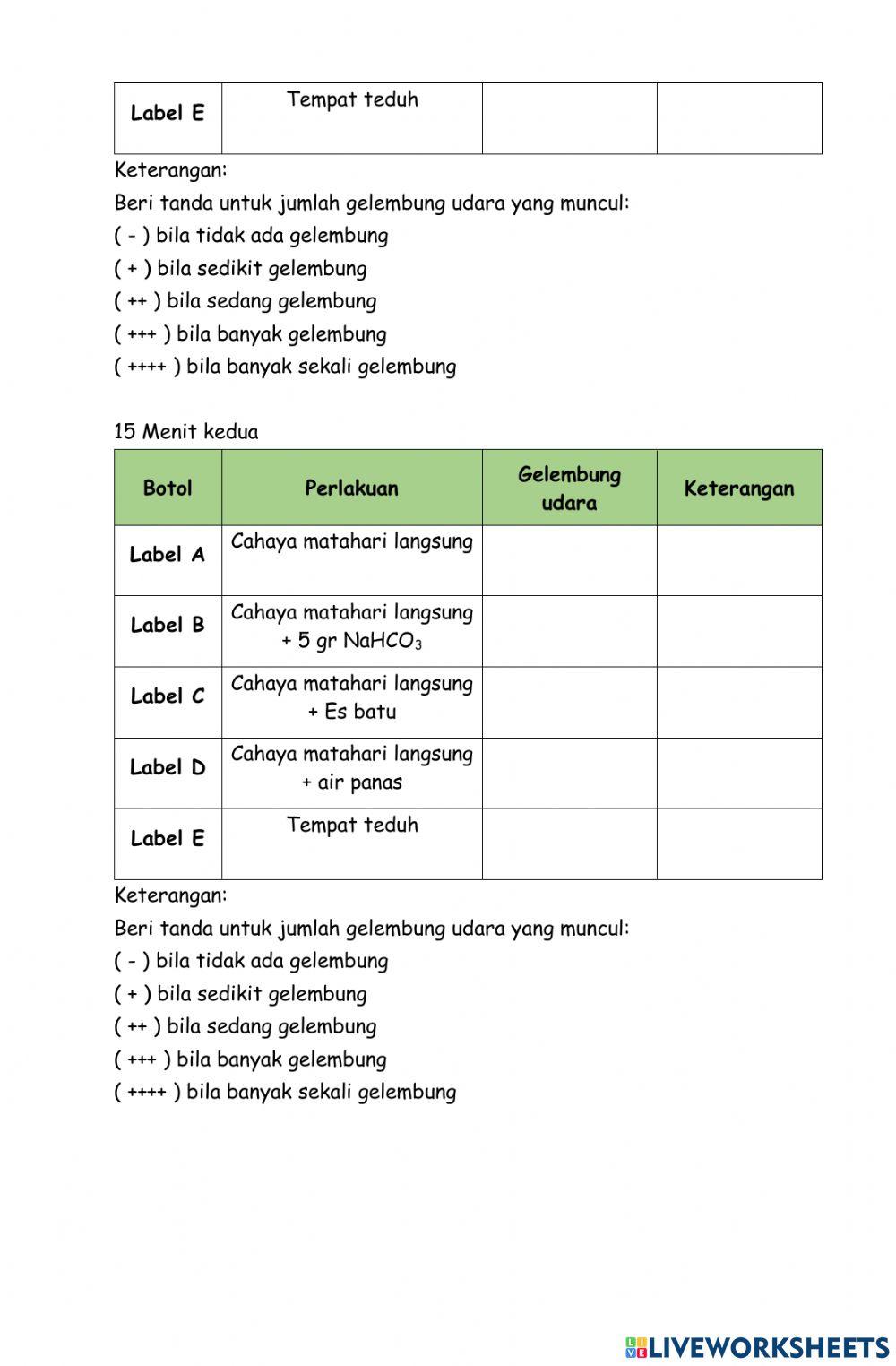 Fotosintesis - Ingenhouzs