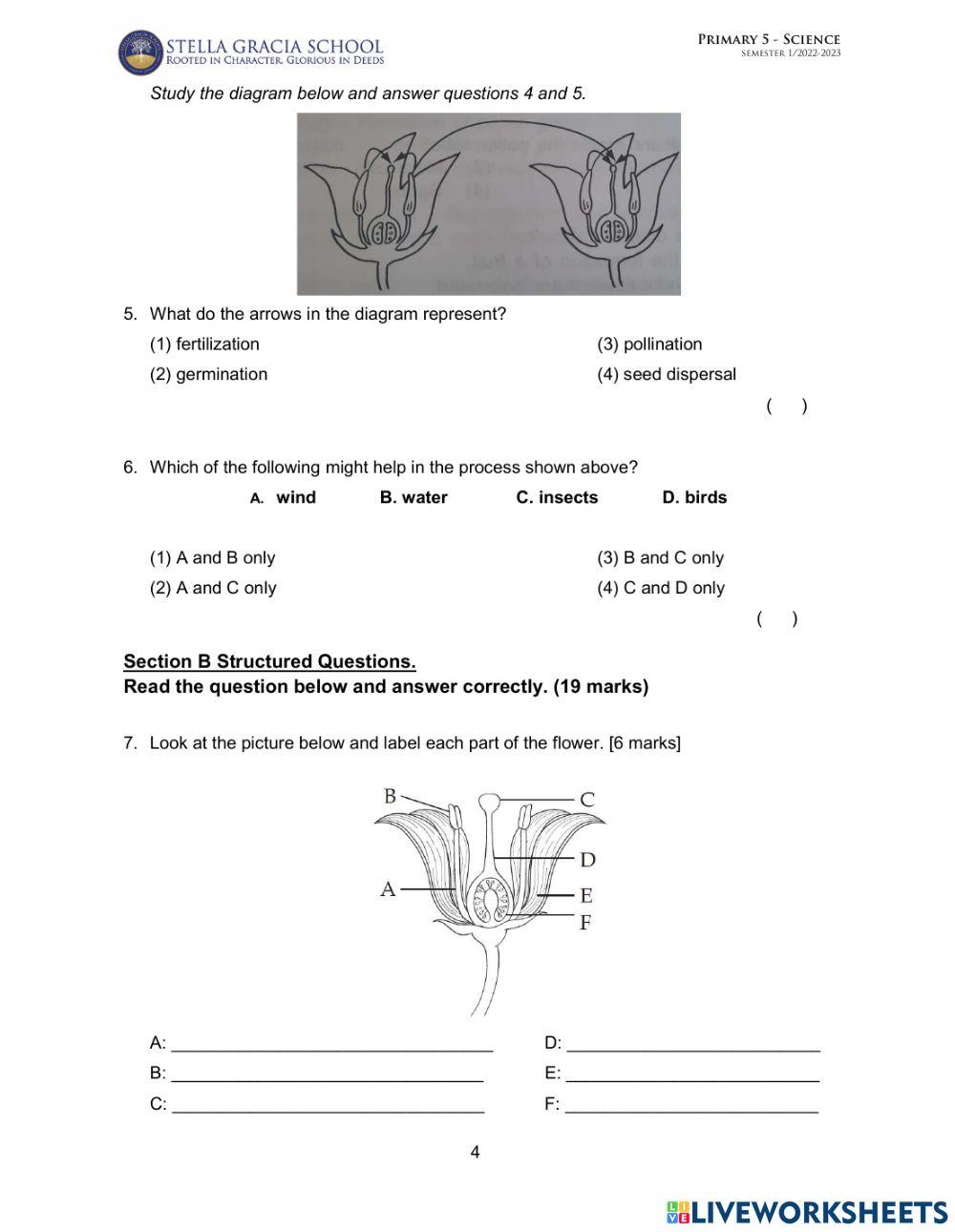 P5-Topical Test 1