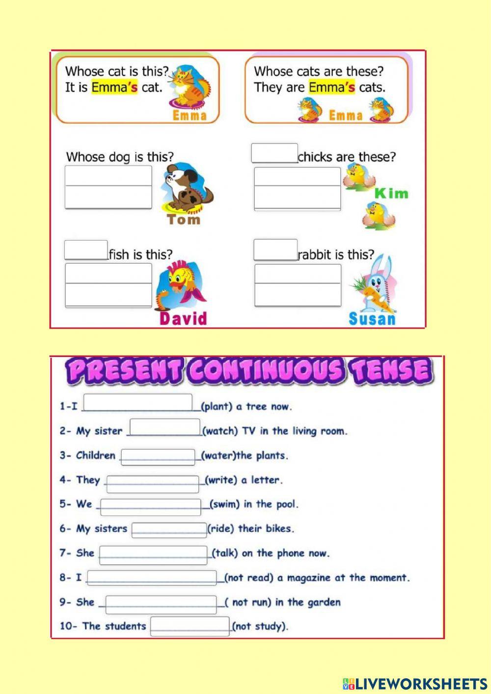 2nd year 2nd term test 2022