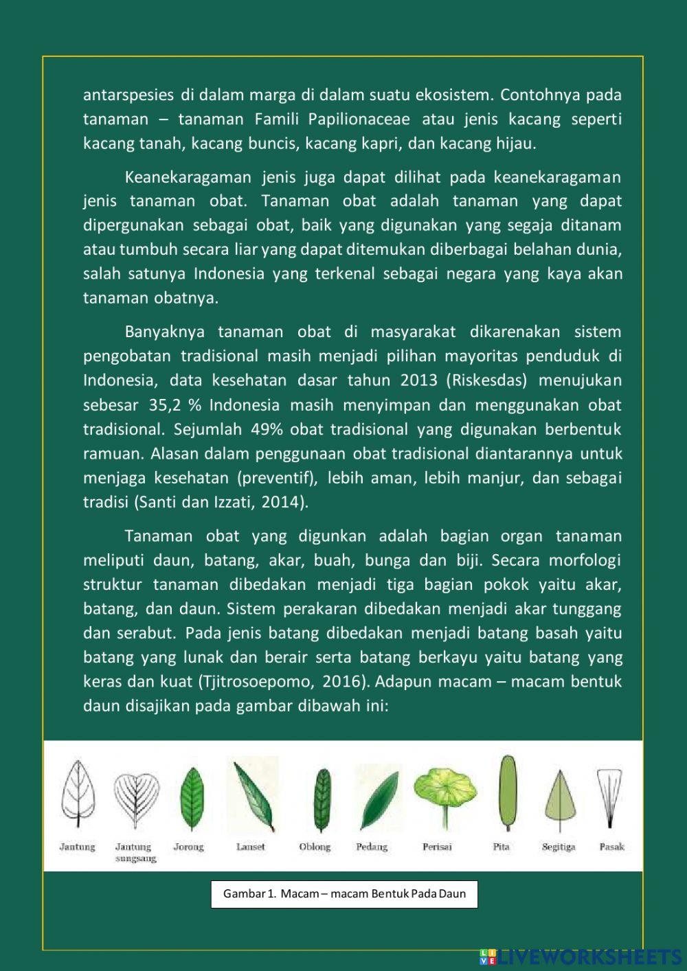 LKPD Keanekaragaman Jenis Tanaman Obat