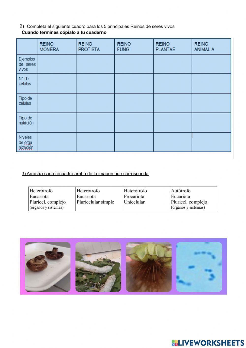 Reinos de seres vivos 2022