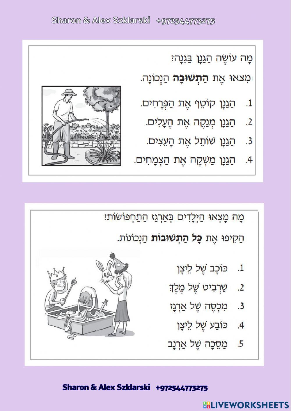 שקלרסקי משפט-תמונה