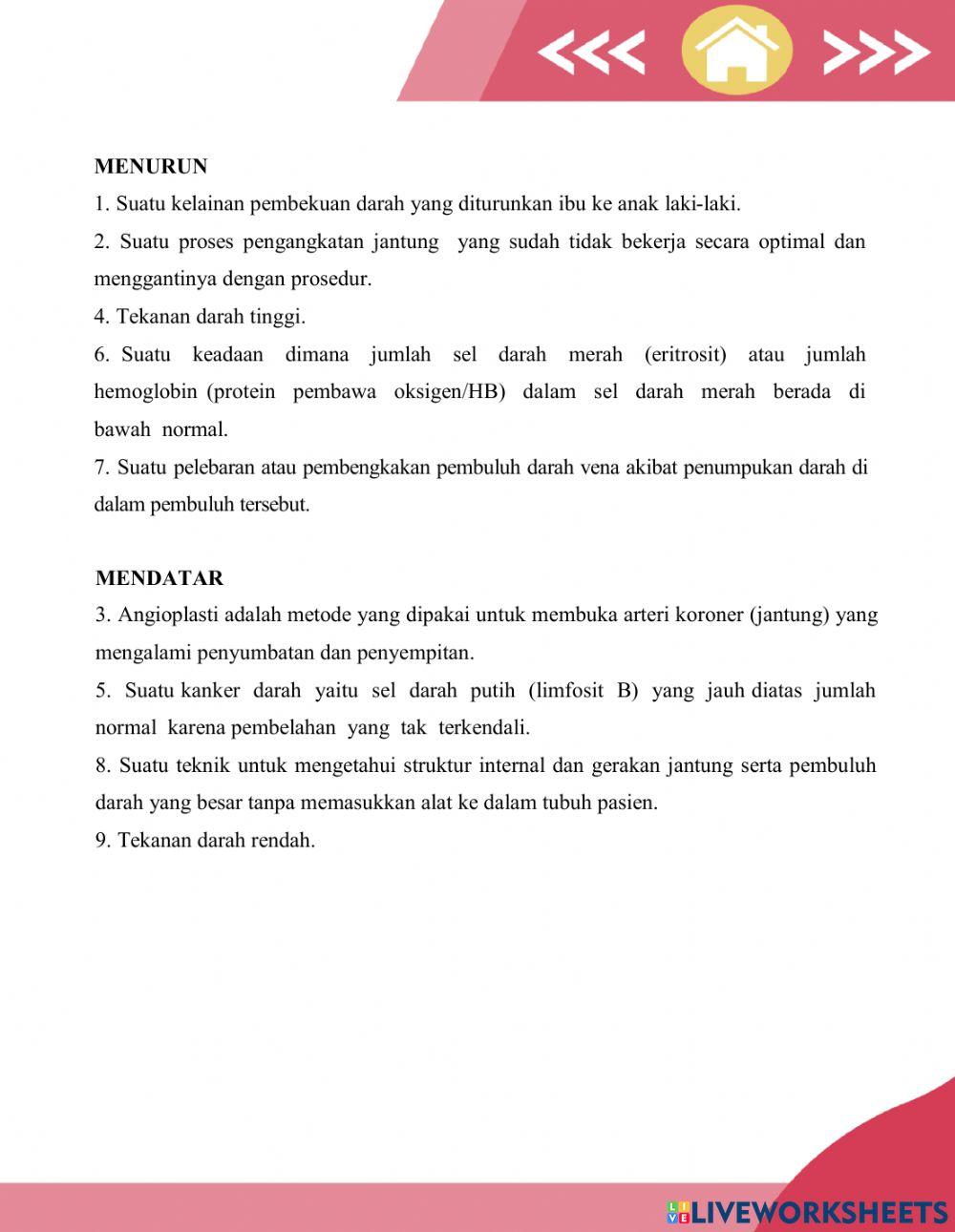 Tts sistem sirkulasi darah