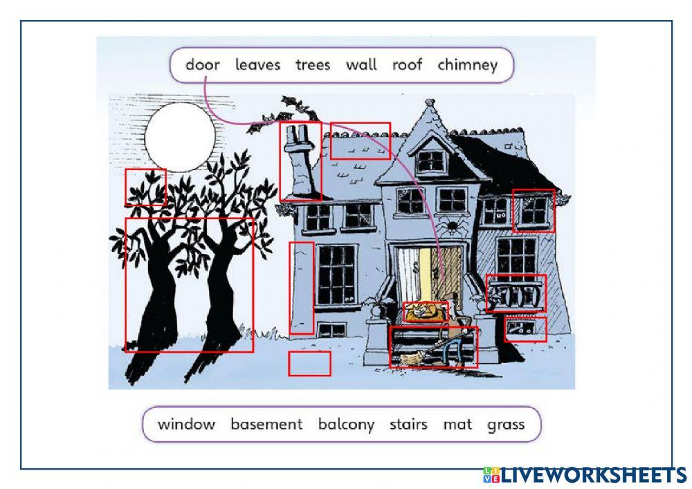 Lions: Different homes