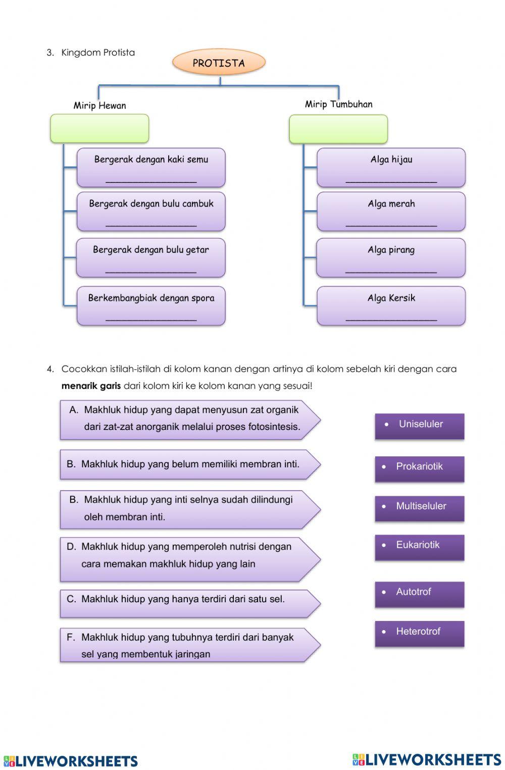 Klasifikasi 5 kingdom