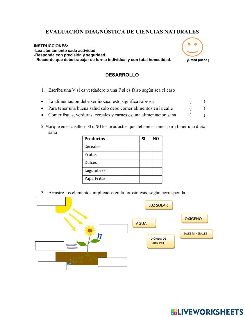 Evaluación Diagóstica