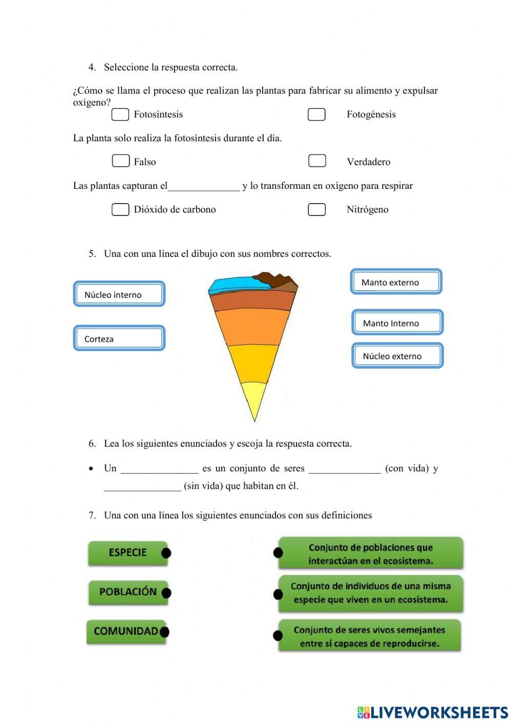 Evaluación Diagóstica