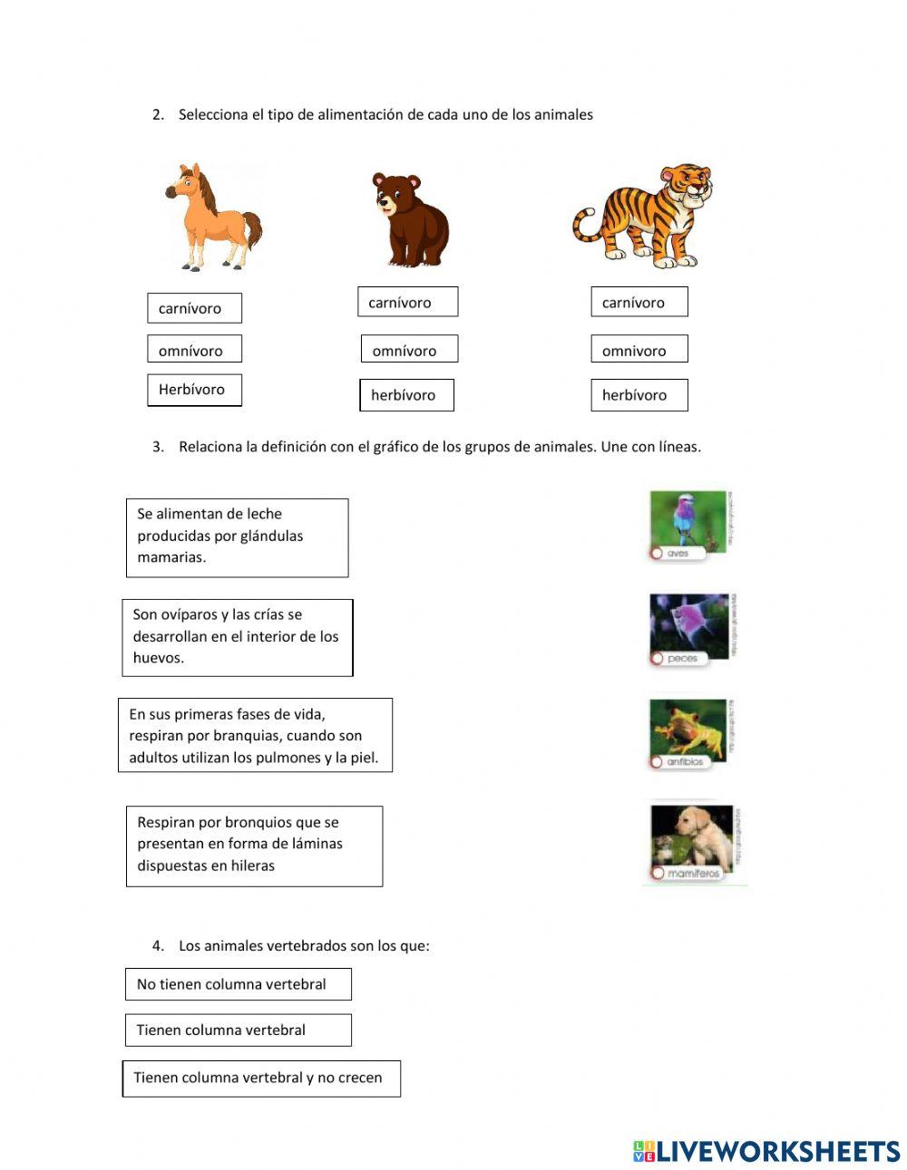 Animales vertebrados (Clasificación, alimentación, origen, hábitat y relación con el ser humano).