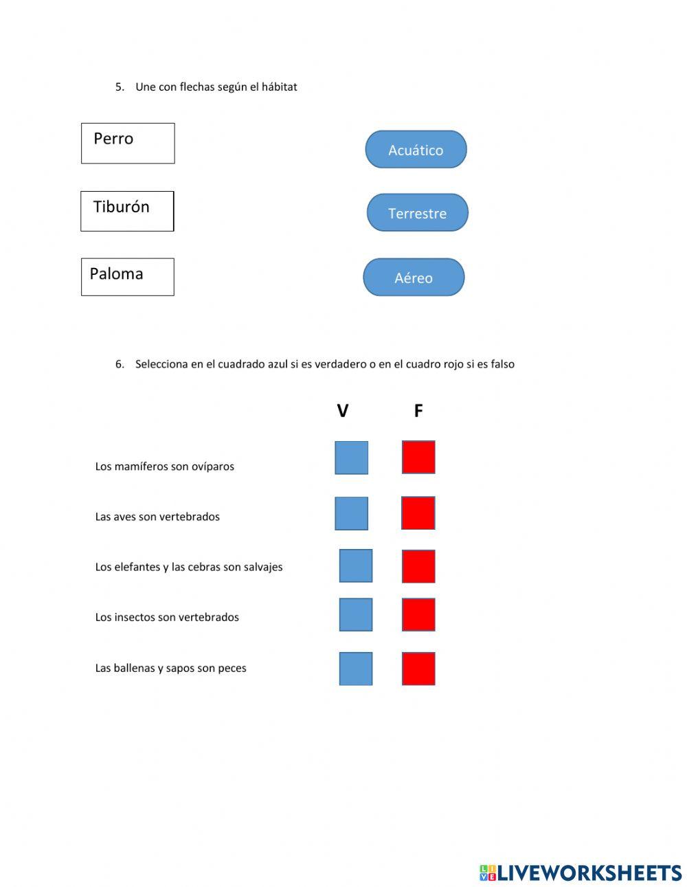 Animales vertebrados (Clasificación, alimentación, origen, hábitat y relación con el ser humano).