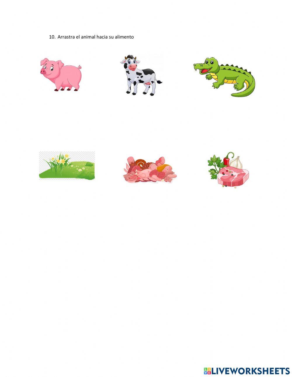 Animales vertebrados (Clasificación, alimentación, origen, hábitat y relación con el ser humano).