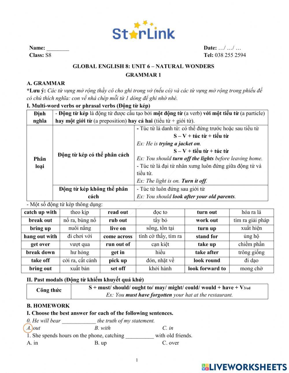 Viet teacher-S8-Week 20-U6-Gram 1