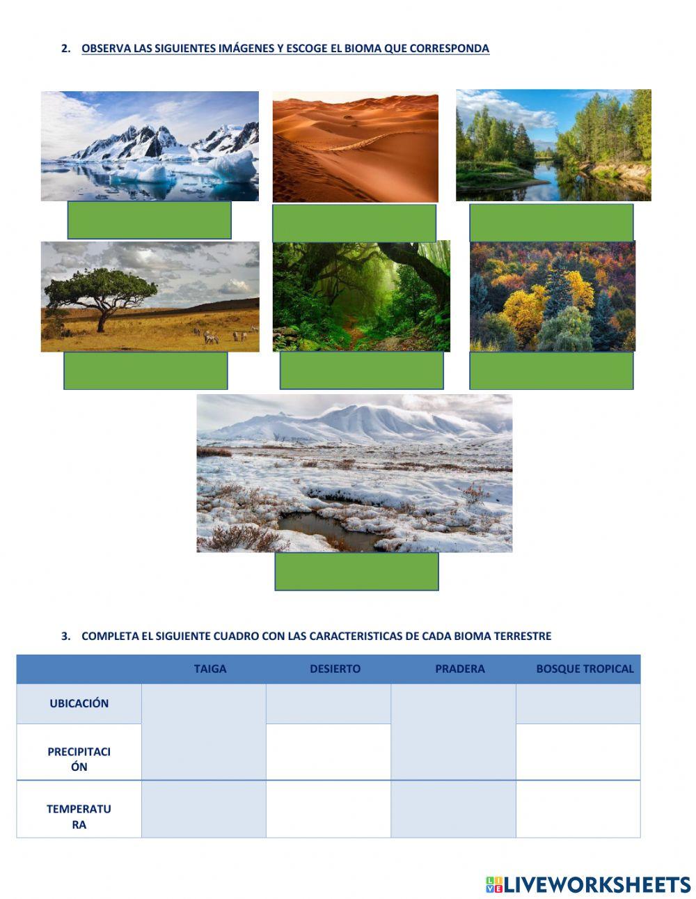 Actividad Refuerzo Biomas del Mundo