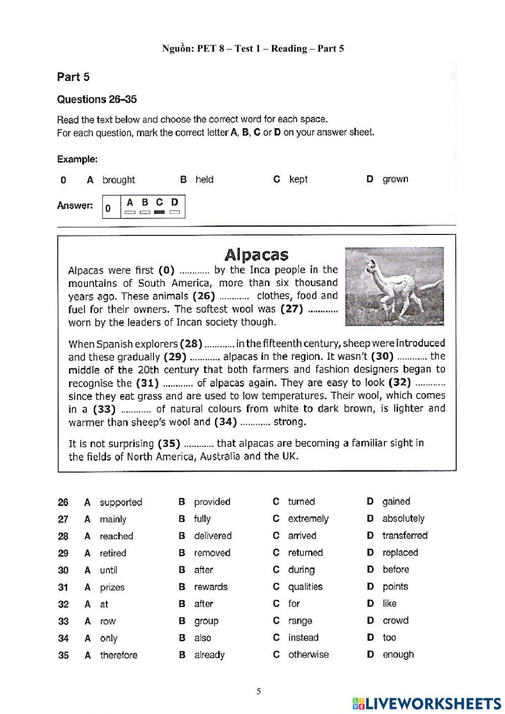 Foreign Teacher-S6-WEEK 20-U5-VOCAB 2