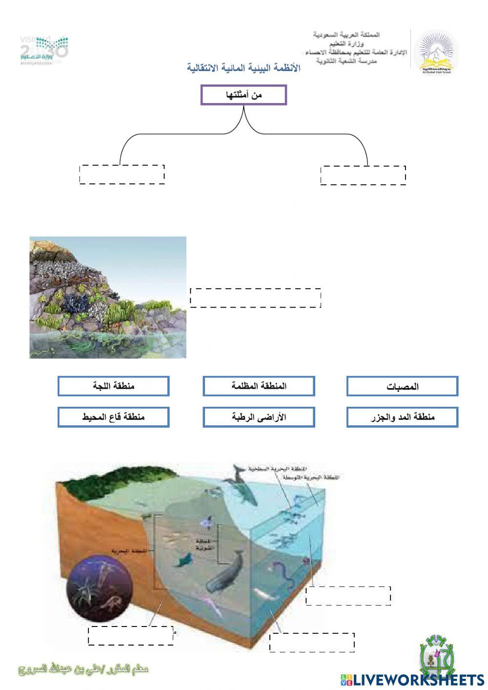 الانظمة المائية الانتقالية والبحرية