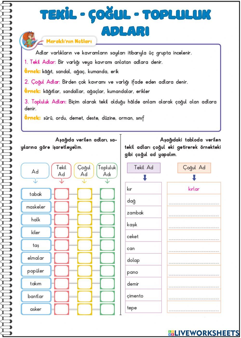 Tekil-Çoğul-Topluluk Adları-1
