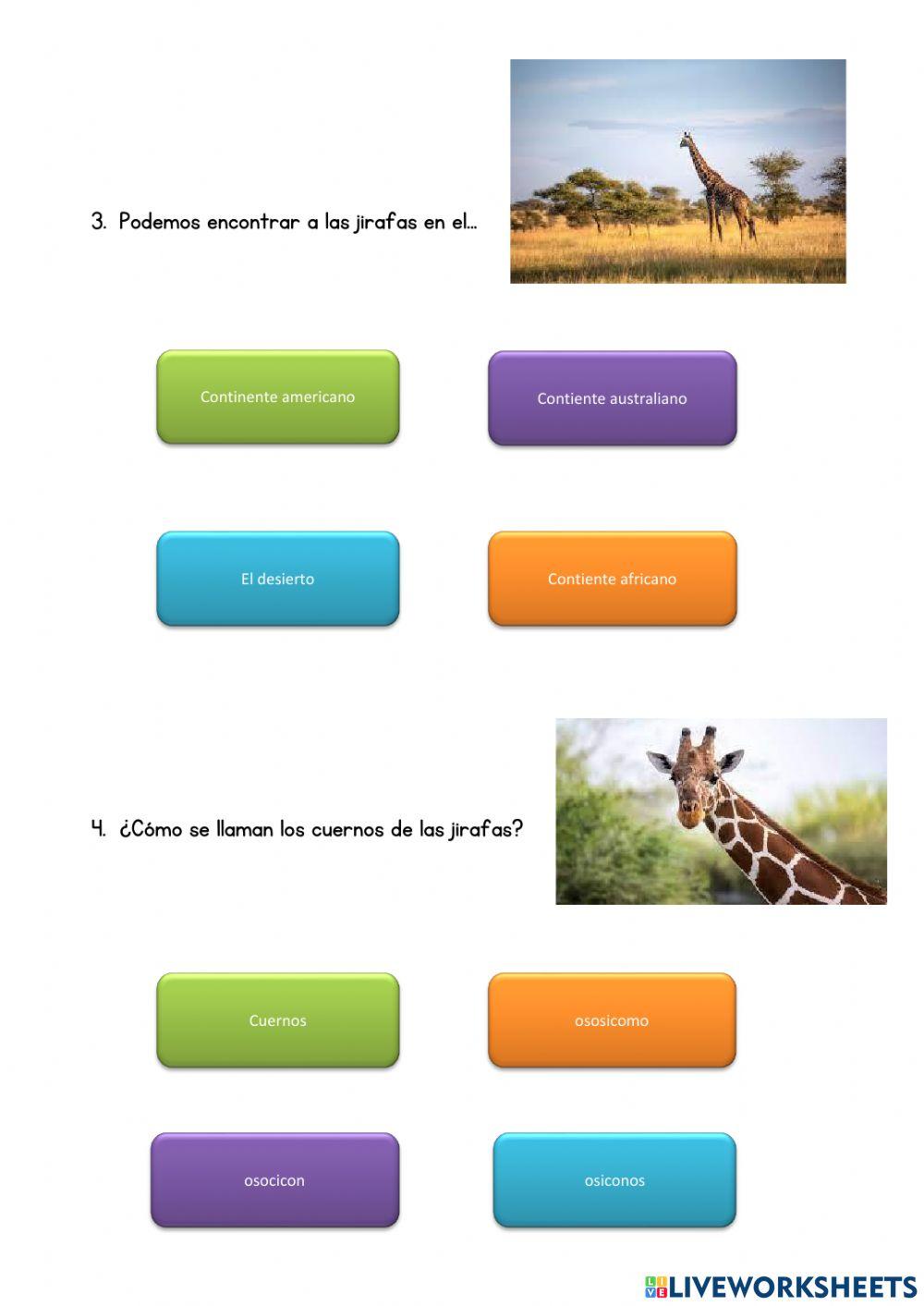 Curiosidades de las jirafas