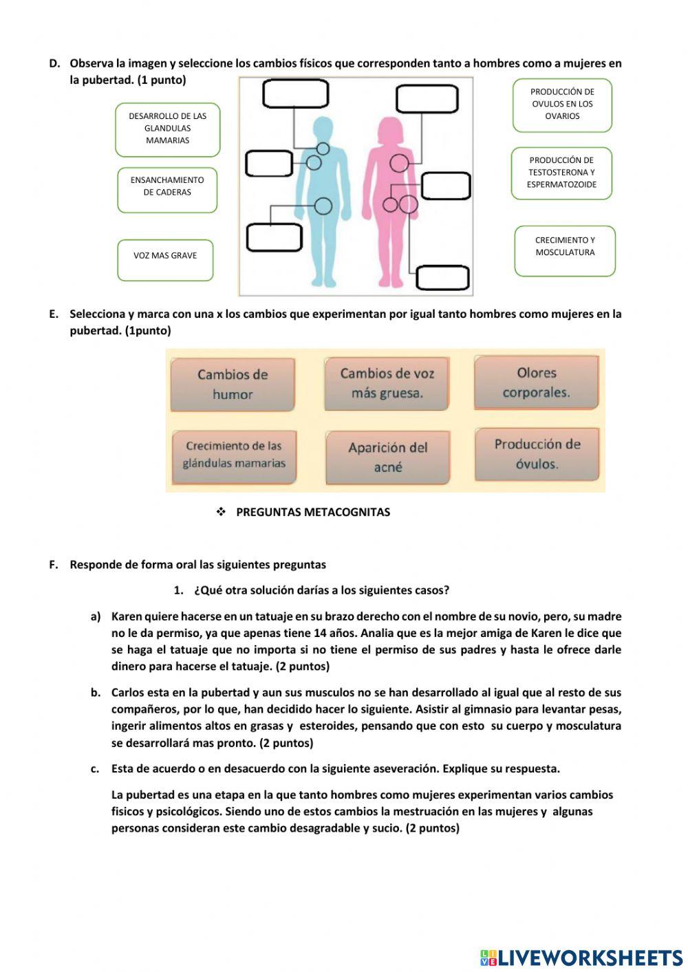 Examen i quimestre-nee