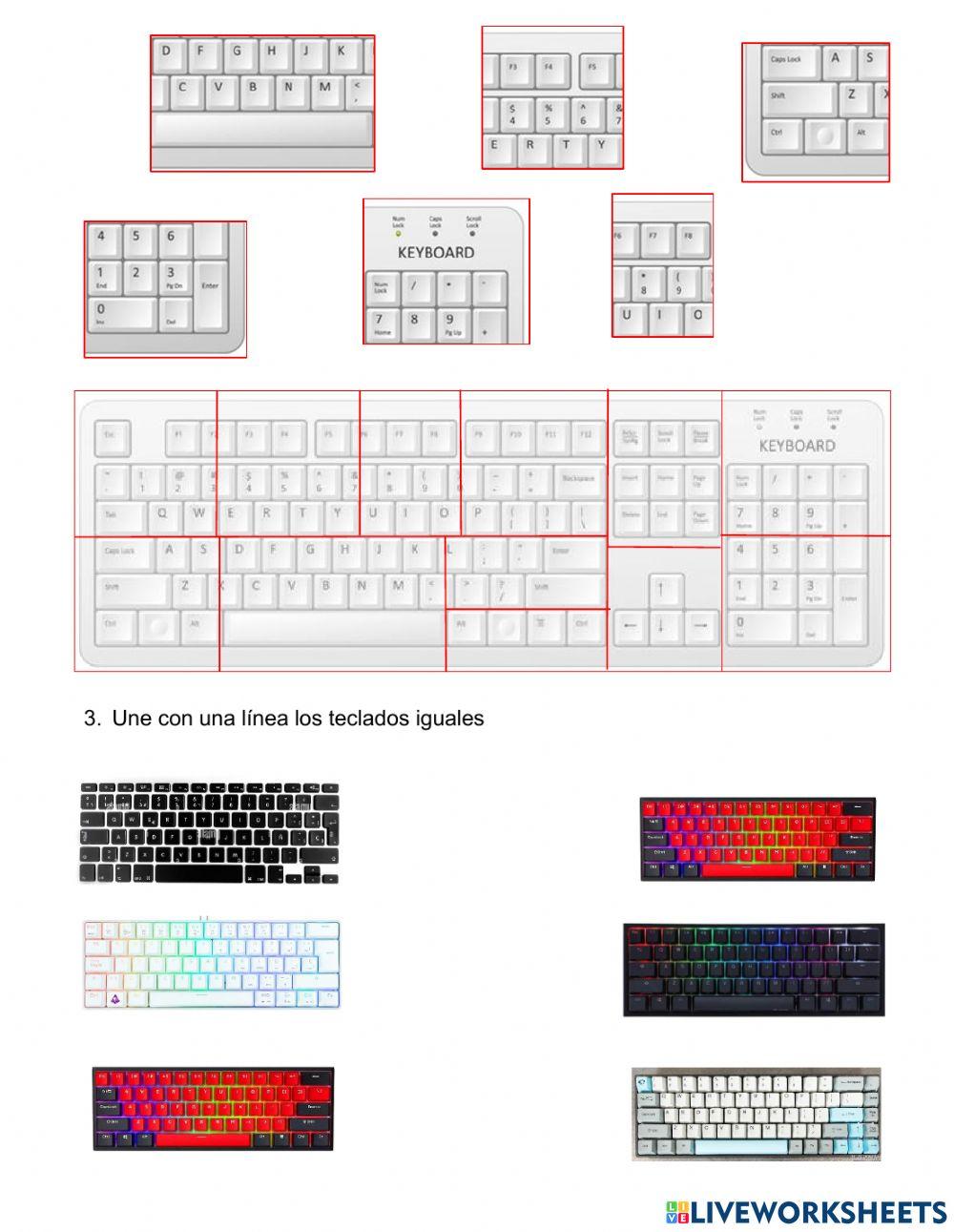 Partes del Teclado Segundo Grado 
