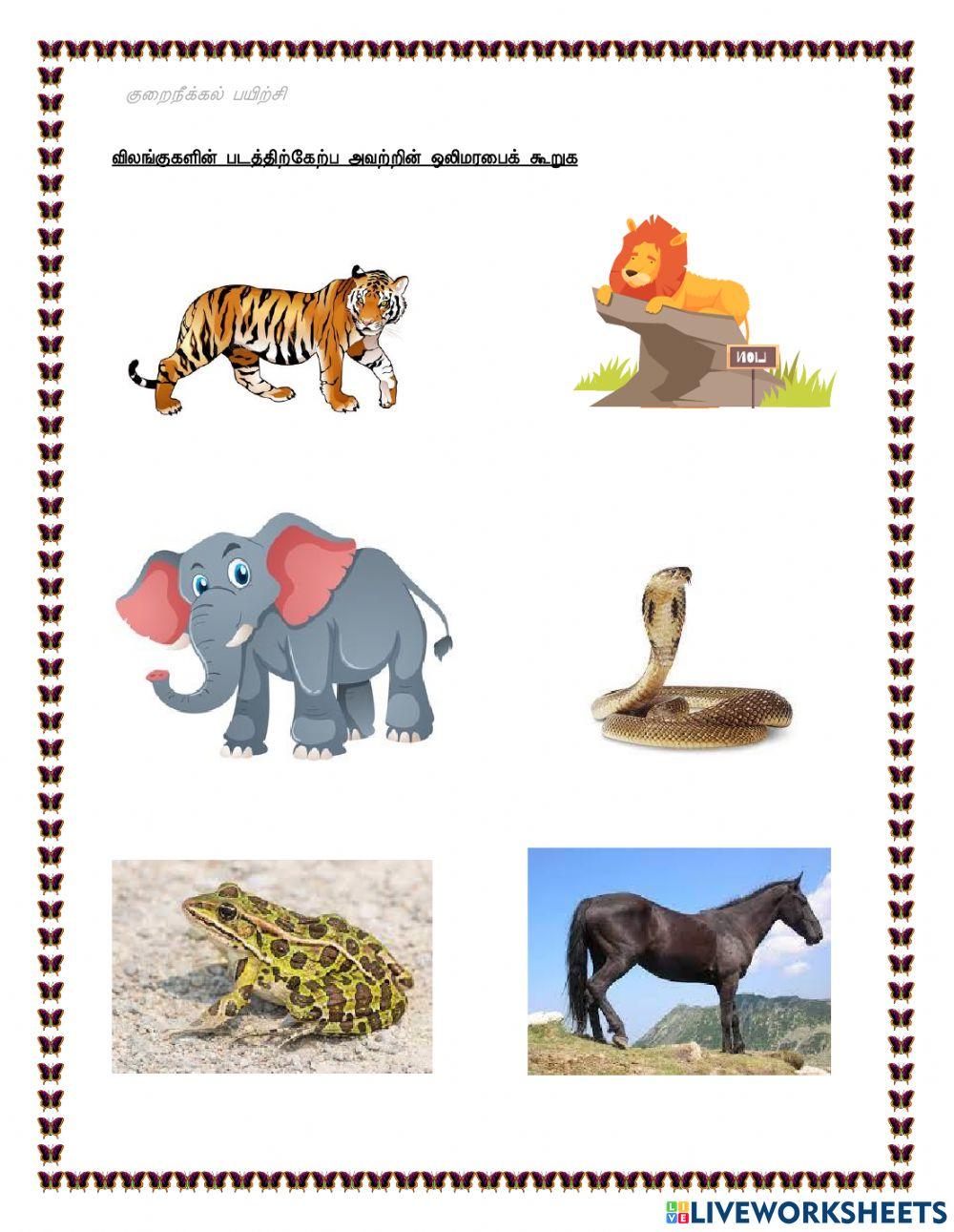 விலங்குகளின் ஒலி