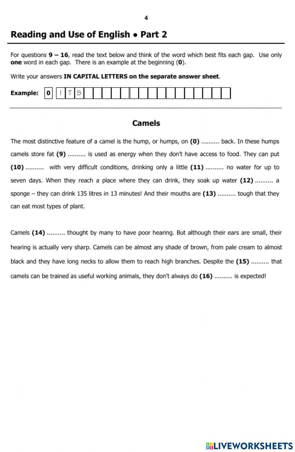 B1+ reading and writing grado (11) segundo perido