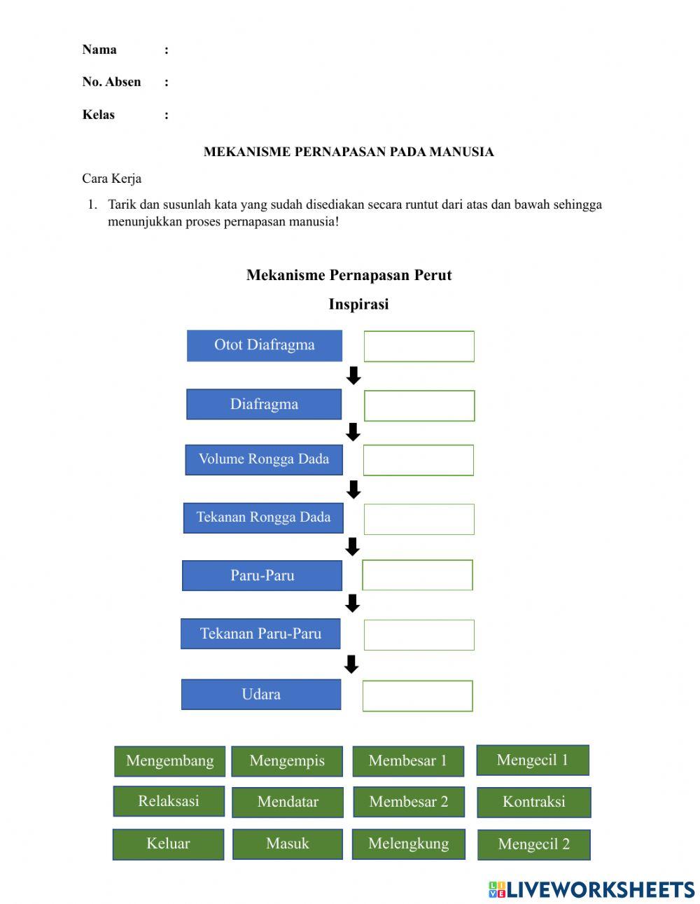 LKPD 2 Mekanisme Pernapasan Manusia