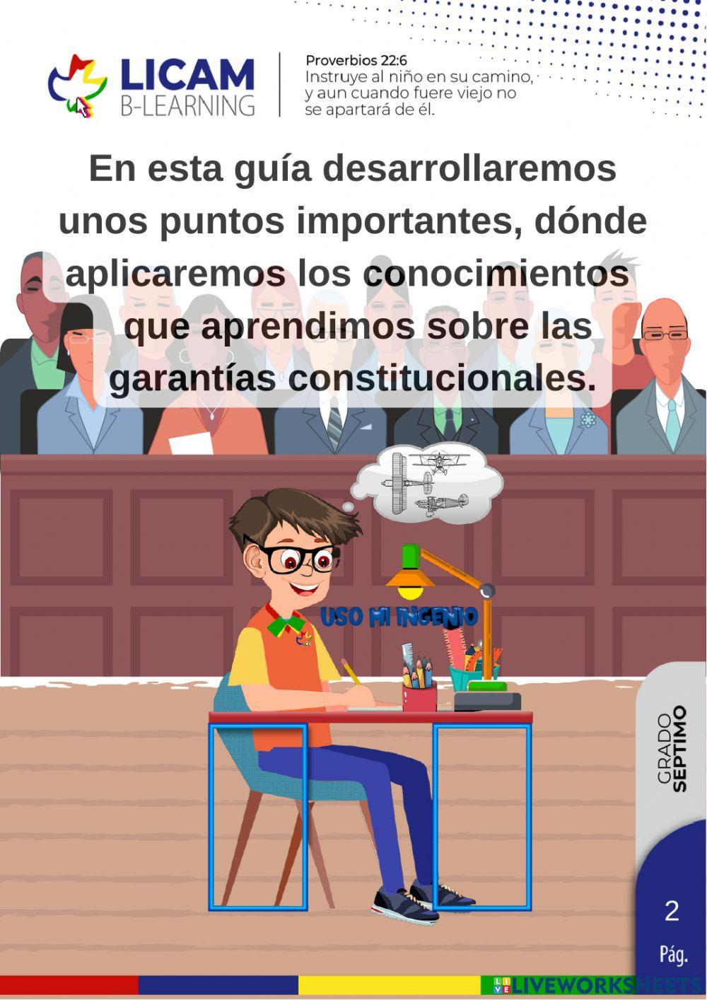 Garantías constitucionales.