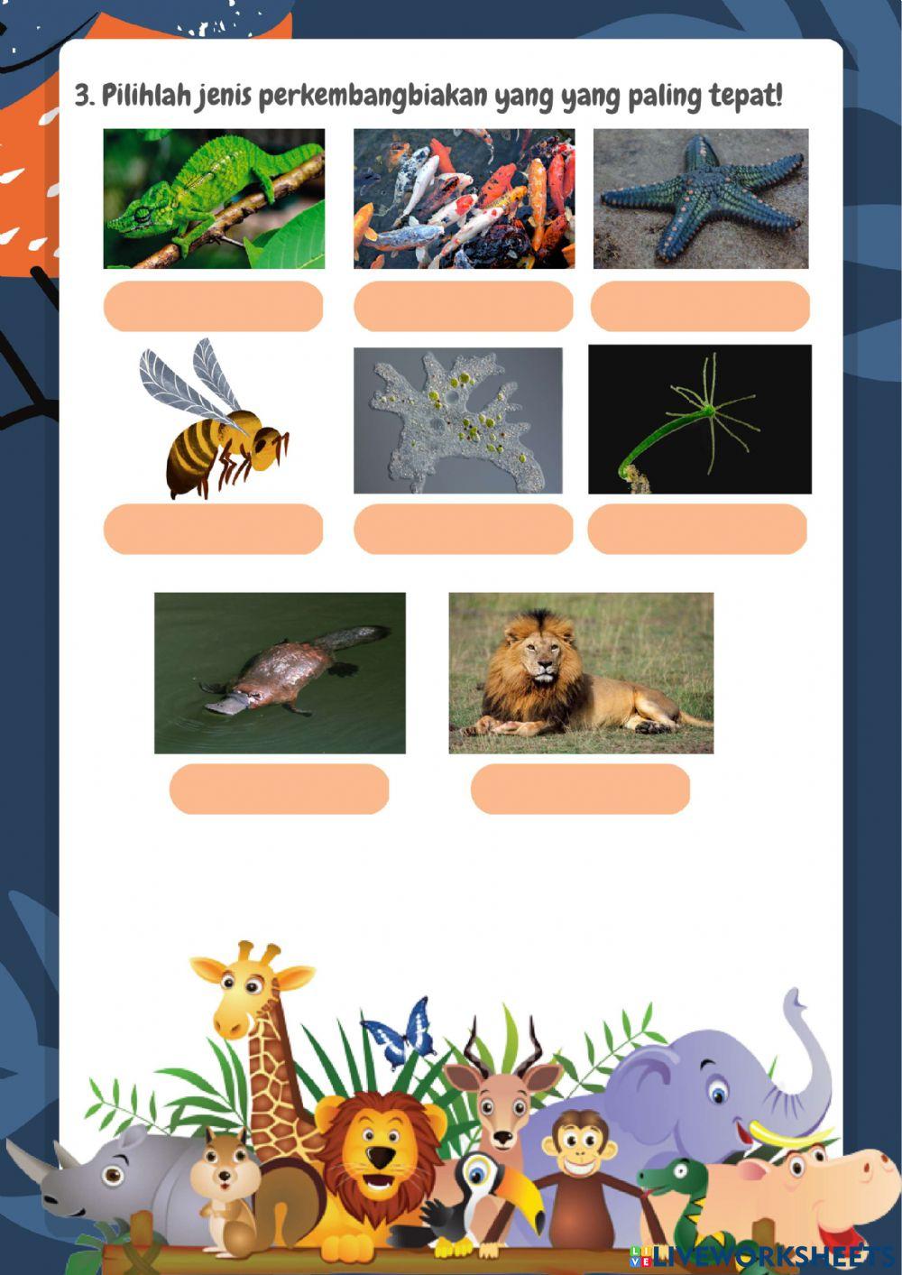 Perkembangbiakan Hewan